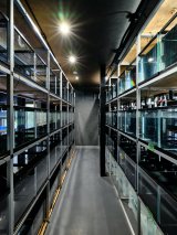 11月オープン予定