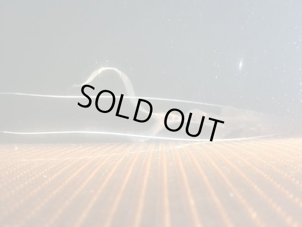 画像3: ピライーバ(12cm±)WILD (3)