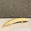 画像1: ポリプテルス パルマス ブティコフェリー(10cm±)ブリード (1)