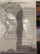 画像6: アジアアロワナ 藍底過背金龍 マレーシアゴールデン シャンレン産（22cm±） (6)